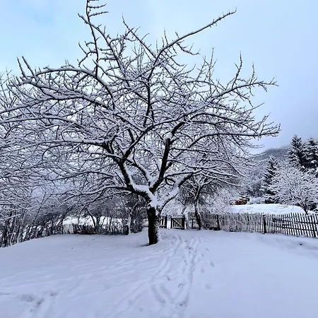 4 à La Ferme Des Lanches Au Praz *